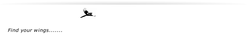 Find your wings.......
